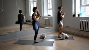 Йога последовательность для выхода в баланс на руках.