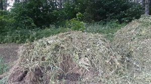 Сенокос. Трактор Т-25 Владимирец и косилка Wirax