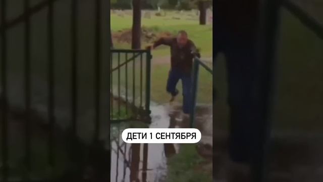 У кого так каждый год? #1с #1сбухгалтерия #1скурсы #1сбухгалтериякурсы #бухгалтер #ндс #прибыль