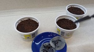 Пеннисетум из семян.07.03.2022