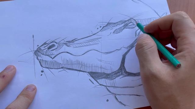 how to draw a crocodile? alligator. Как нарисовать крокодила? Аллигатор смотреть онлайн