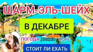 ШАРМ ЭЛЬ ШЕЙХ в декабре. Стоит ли ехать в ЕГИПЕТ ЗИМОЙ? Отдых в Египте: пляжи, погода, отели, цены
