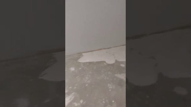 Приклейка линолеума(2)