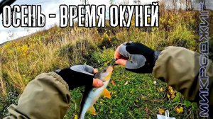 Осенняя ловля окуня - это азартно. Активный МИКРОДЖИГ