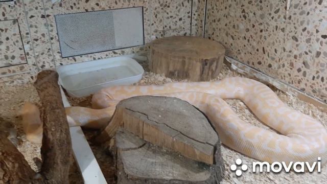 Гродно зоопарк пресмыкающиеся смотреть онлайн