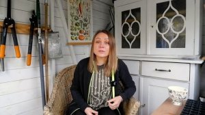 Как и когда сажать луковичные. Посадка нарциссов. Натурализация луковичных.
