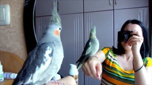 Свет мой, зеркальце, скажи! Да всю правду доложи: Я ль на свете всех милее, Всех румяней и белее?