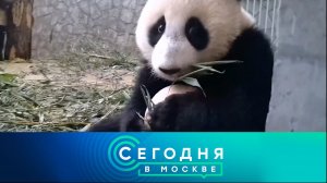 «Сегодня в Москве»: 24 августа 2024 года