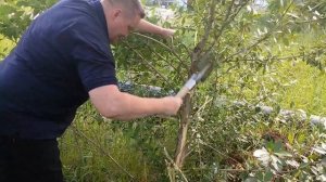 Лопата складная титановая "Турист"