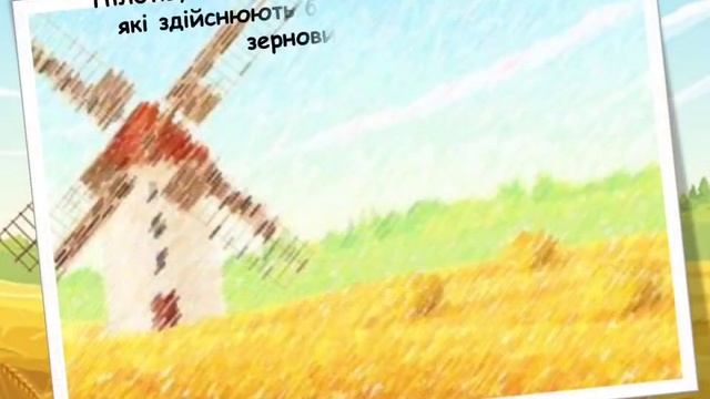 Колоски пшениці. Аплікація смотреть онлайн