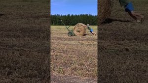 Прицеп для перевозки рулонов