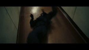 Довод - объяснение концовки. Нолан нас обманул?