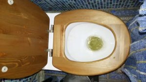 Мой булькующий унитаз)))