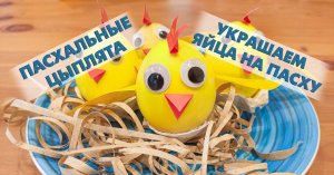 Цыплёнок из яйца. Детская поделка.