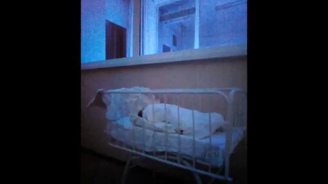 #моймалыш#многомама#мой Данечка,1,5месяца