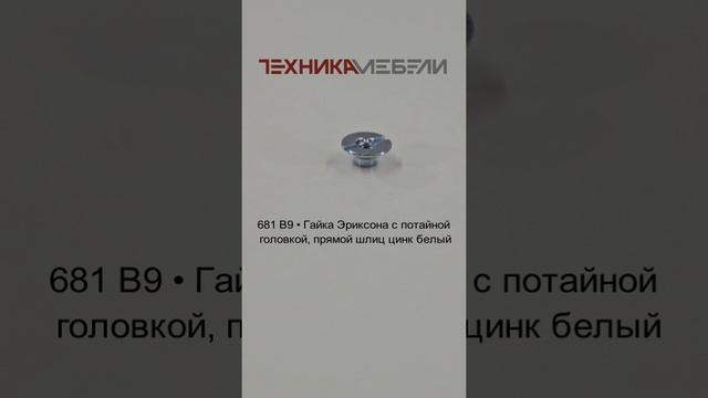 681 B9 • Гайка Эриксона с потайной головкой, прямой шлиц цинк белый шорт