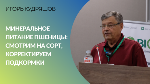 Минеральное питание пшеницы: смотрим на сорт, корректируем подкормки