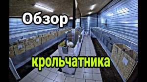 Новый крольчатник. Обзор крольчатника. Каркасный крольчатник ч.18