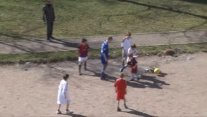 Черданцев. Расширенная версия