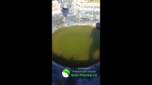 Отзыв на пленку Винилит