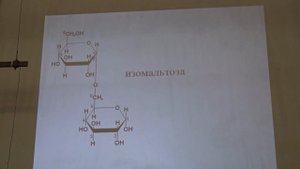 Асеев В. В. - Основы биохимии - Свойства углеводов