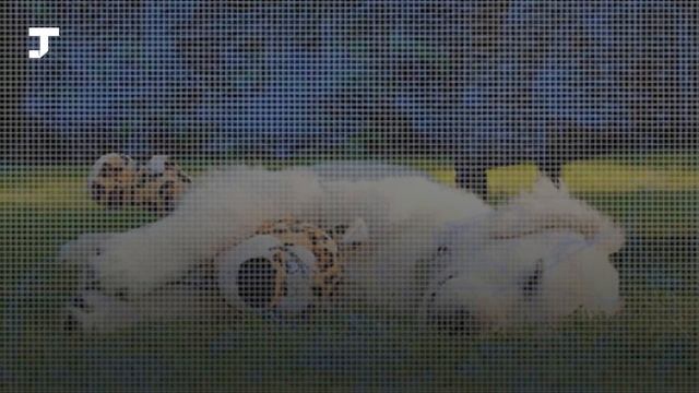 Нейросеть научили заменять фон на любой фотографии смотреть онлайн