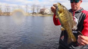 New Trick to the Ned Rig that might help you catch a few more bass this year!  - Ned Rig Secrets!