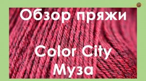 ОБЗОР ПРЯЖИ. Color City Муза. Шерстяная пряжа со льном.