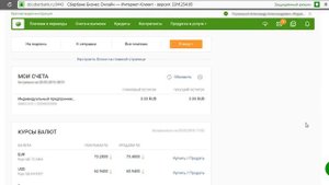 Личный Кабинет Сбербанк Бизнес Онлайн - знакомство с кабинетом