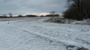 Как в деревне встречают коров?! // Снежные коровы// Корова на льду // Стадо коров// КОРОВЫ // НЕТЕЛ