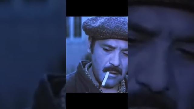 Arxadan vurulan zərbə 1977