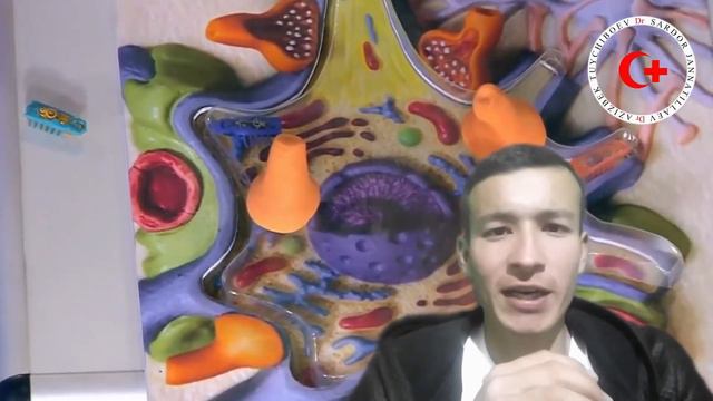 uchuq nima sababdan chiqadi. uyda davolash. Учуқ чиқса нима қилиш керак.