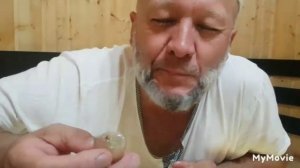 Виноград ...ШОХОНА...ОТ Таджика Дедушка!!!