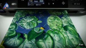 Обзор МФУ для дома Epson XP-434 с СНПЧ