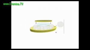 Делаем детский  костюм Гриб- Боровик своими руками