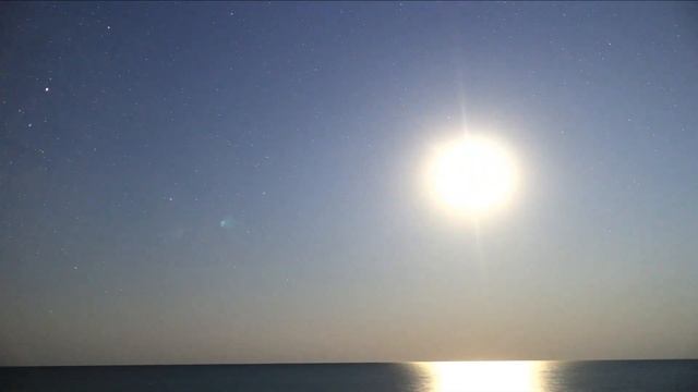 Лоза и Муза | Татьяна Филимонова | Маленький принц смотреть онлайн