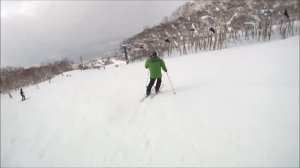 Niseko Ski 2014/1/25