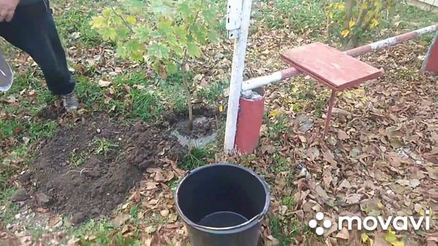 Женское счастье🤗🤗🤗 смотреть онлайн