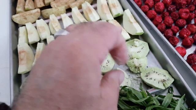 LIOPHILIZATION СУБЛИМАЦИЯ