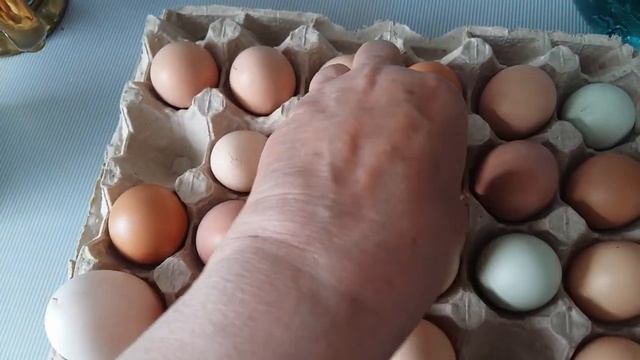 Домашние куры несут двухжелтковые яйца. смотреть онлайн