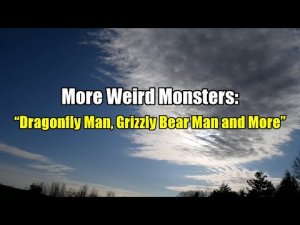 “More Weird Monsters: Dragonfly-Man, Grizzly Bear Man and More” | Paranormal Stories