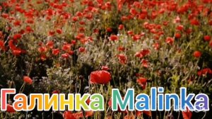 Мы родились в Сибири /Раскатали губу/Клейма негде ставить/Обзор Влогов /Мы родились в Сибири life /