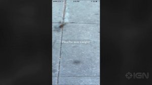 POKEMON GO ○ ГДЕ ИСКАТЬ РЕДКИХ ПОКЕМОНОВ ○ КАК ПОЙМАТЬ ВСЕХ ○ ИНТЕРЕСНЫЕ ФАКТЫ