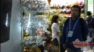 Canton Fair 2013 2 сессия искусственные деревья и цветы