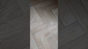 Снасточка на барабулю (султанку) , на монтажных бусинах, морской фидер.
