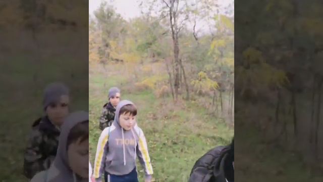 Вместе весело шагать по просторам смотреть онлайн