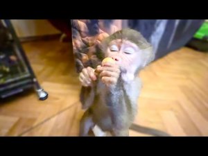 Жорик вышел на свободу- ЛЮСЯ ТИКАЙ! Люська начинает понимать что как раньше НЕ БУДЕТ!