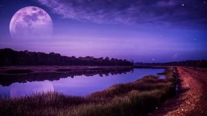 8 Часов Музыки для глубокого сна. Расслабляющая музыка для сна. Гипнотический сон. Безмятежный сон.