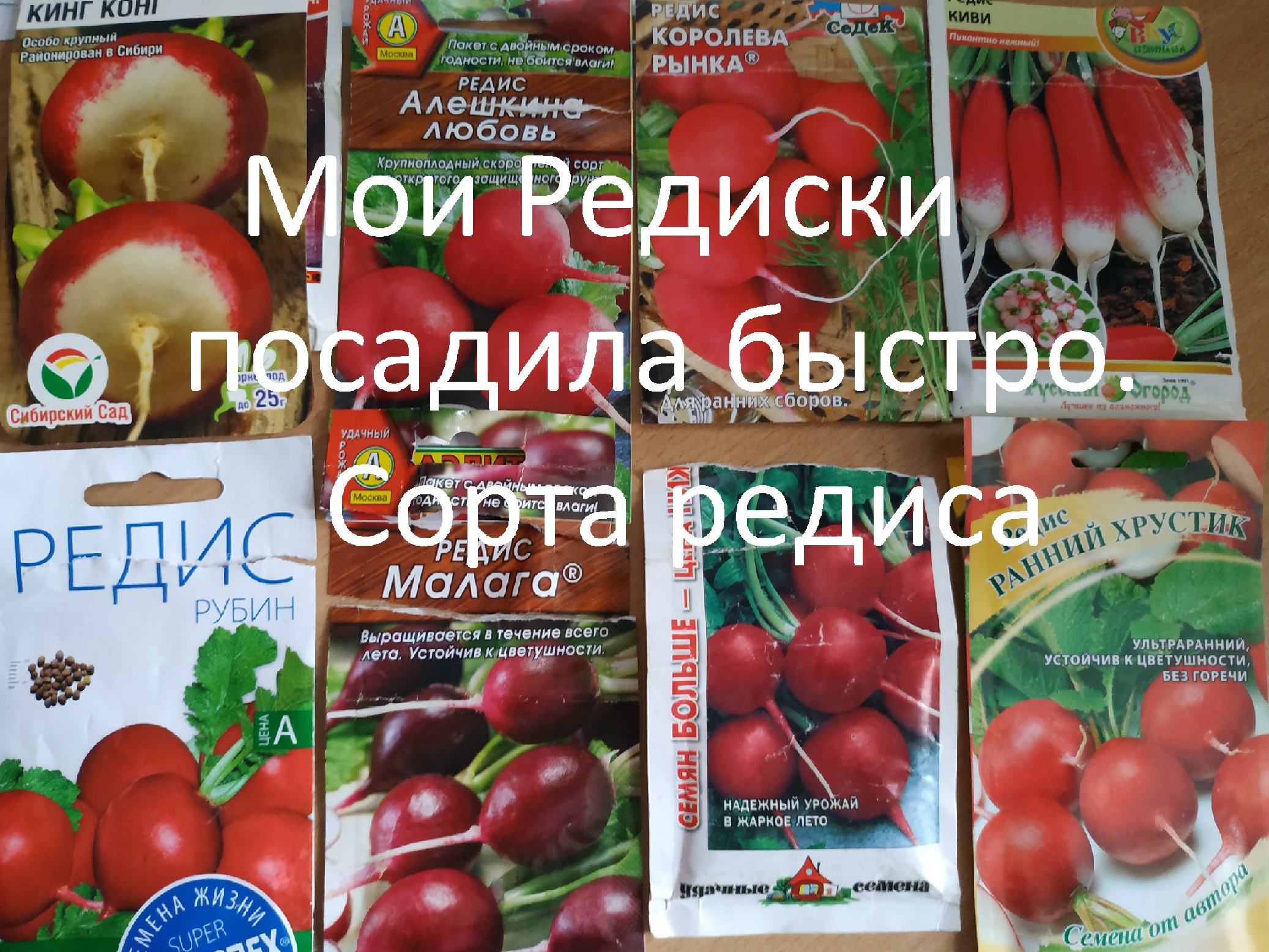 Мои Редиски посадила быстро.  //  Сорта редиса