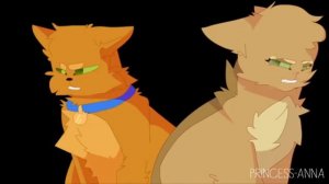 Коты воители. Огнезвёзд и Песчаная Буря - Мне нравиться